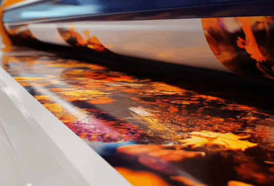 DTF Transfer: The Cutting-Edge of Printing Technology - SKY DTF I 24 HR SHIPPING I HIGH QUALITY I CUSTOM DTF PRINTING